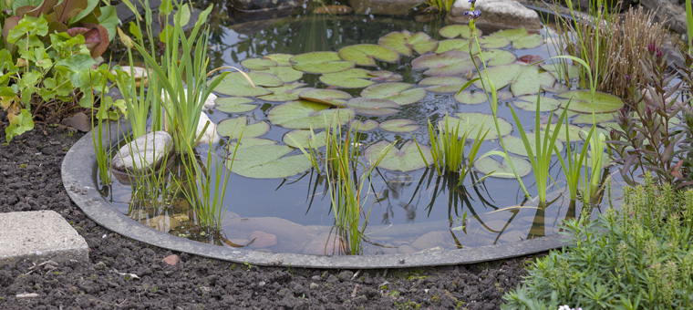 Bassins de jardin, Baignade Naturelle & Pisciculture : Ferme Aquacole